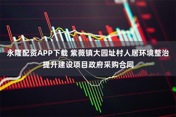 永隆配资APP下载 紫薇镇大园址村人居环境整治提升建设项目政府采购合同
