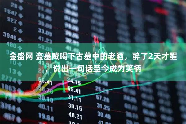 金盛网 盗墓贼喝下古墓中的老酒，醉了2天才醒，说出一句话至今成为笑柄