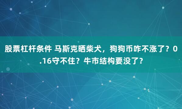 股票杠杆条件 马斯克晒柴犬，狗狗币咋不涨了？0.16守不住？牛市结构要没了？