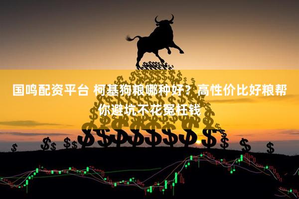 国鸣配资平台 柯基狗粮哪种好？高性价比好粮帮你避坑不花冤枉钱