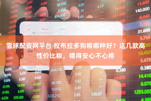 雪球配资网平台 拉布拉多狗粮哪种好？这几款高性价比粮，喂得安心不心疼
