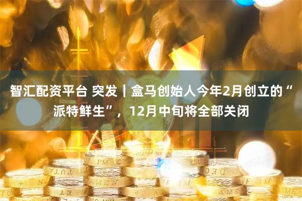 智汇配资平台 突发｜盒马创始人今年2月创立的“派特鲜生”，12月中旬将全部关闭