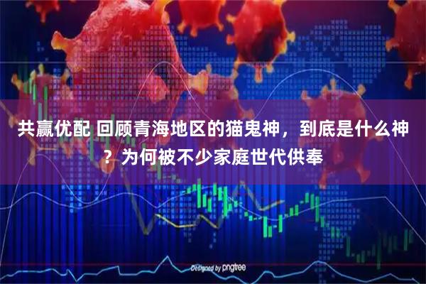 共赢优配 回顾青海地区的猫鬼神，到底是什么神？为何被不少家庭世代供奉