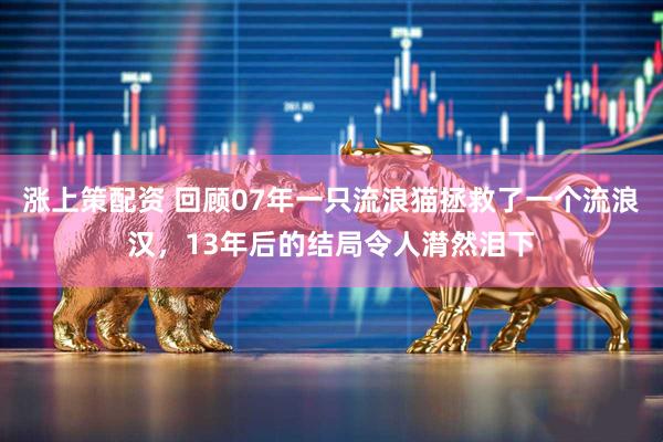 涨上策配资 回顾07年一只流浪猫拯救了一个流浪汉，13年后的结局令人潸然泪下
