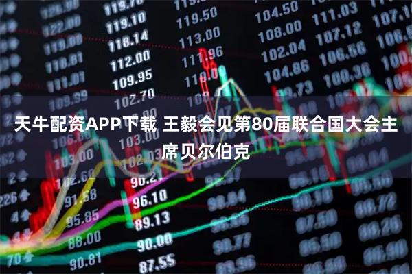 天牛配资APP下载 王毅会见第80届联合国大会主席贝尔伯克