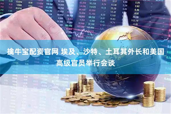 擒牛宝配资官网 埃及、沙特、土耳其外长和美国高级官员举行会谈