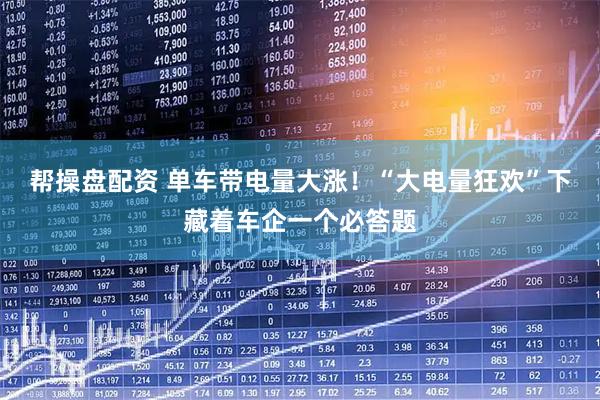 帮操盘配资 单车带电量大涨！“大电量狂欢”下藏着车企一个必答题